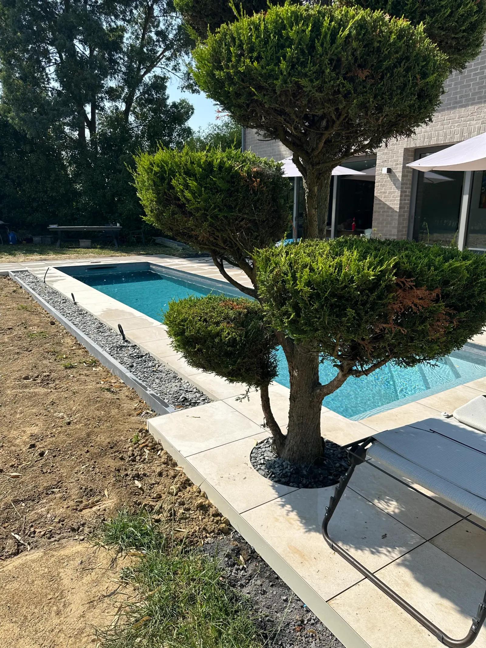 Découpe